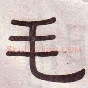 毛