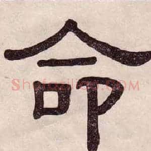 命