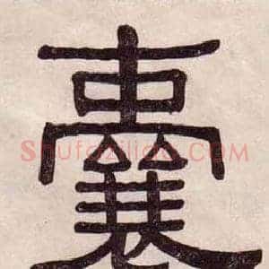 囊