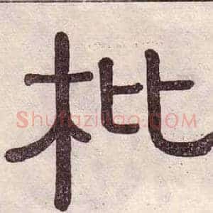 枇