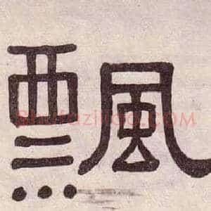 飄