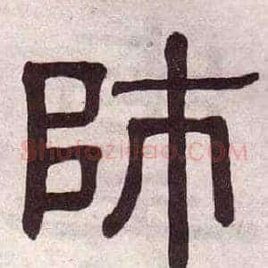 師
