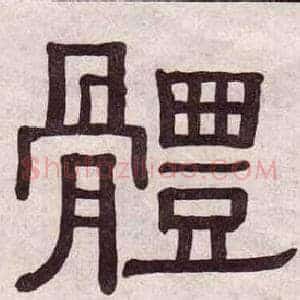 體