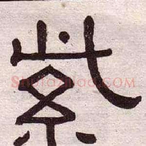 紫