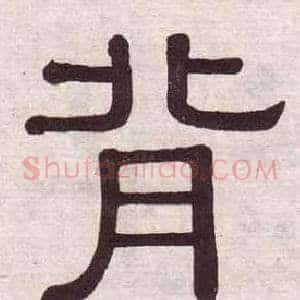 背