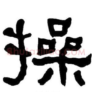 操