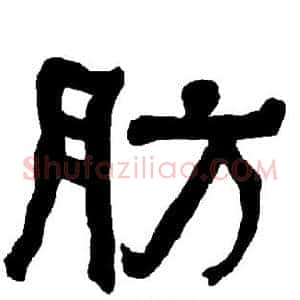 肪