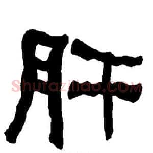 肝