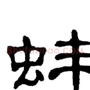 蚌