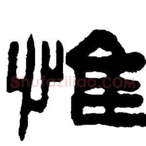 惟