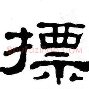 摽