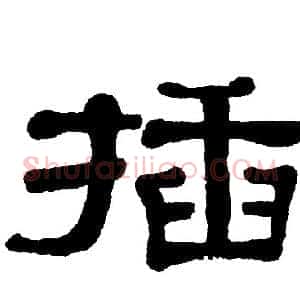 插