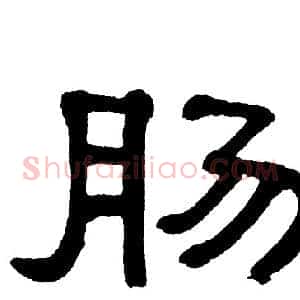 肠