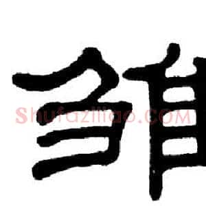 雏