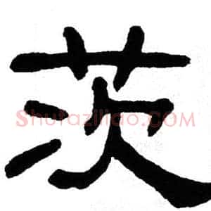茨
