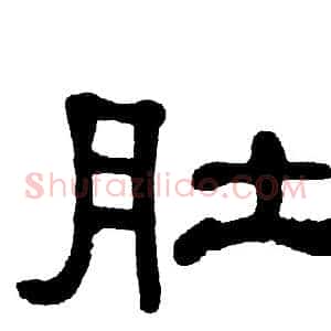 肚