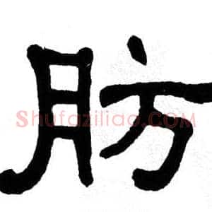 肪