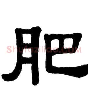 肥