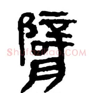 臂