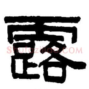露