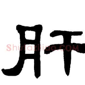 肝