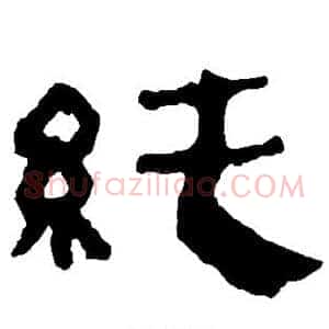 纯