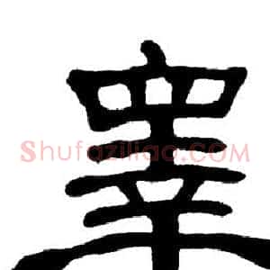 睾