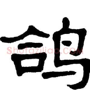 鸽
