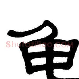 龟