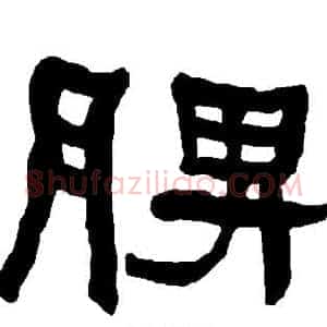 脾