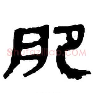 肥