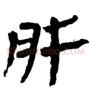 肝