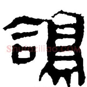鸽