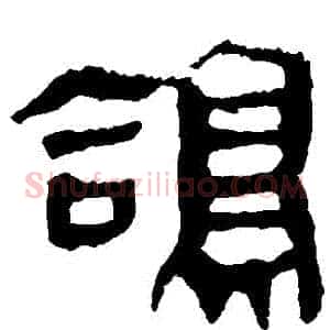 鴿