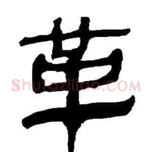 革