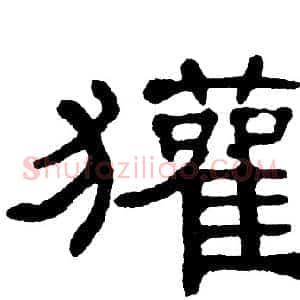 獾