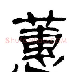 蕙