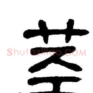 茎