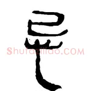 忌