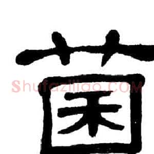 菌