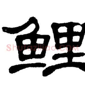 鲤