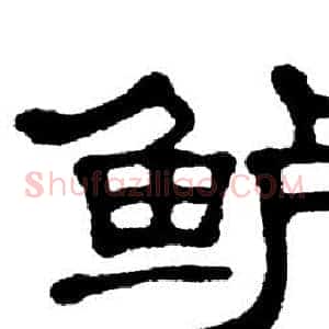鲈