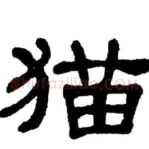 猫