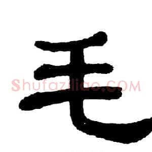 毛