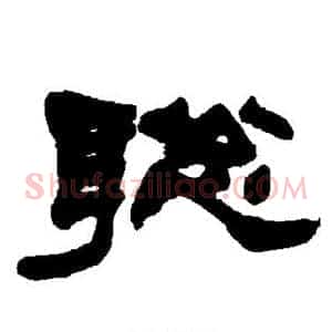 聪