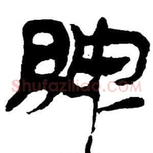 脾