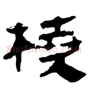桡