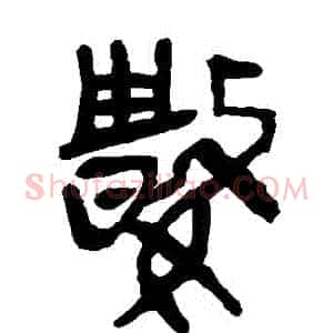 數