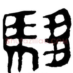 驷