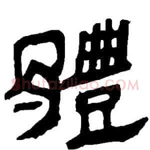 体